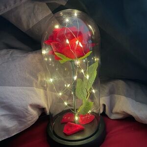 Fake Red Rose in Glass Dome with Fairy Lights